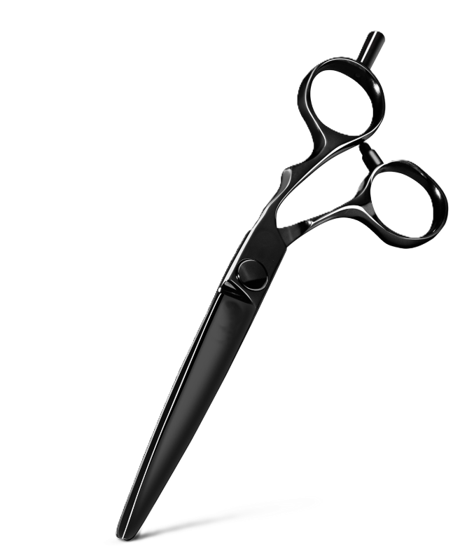 Black professional salon shears
